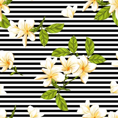 Dikişsiz desen, arka plan beyaz plumeria bitki ile