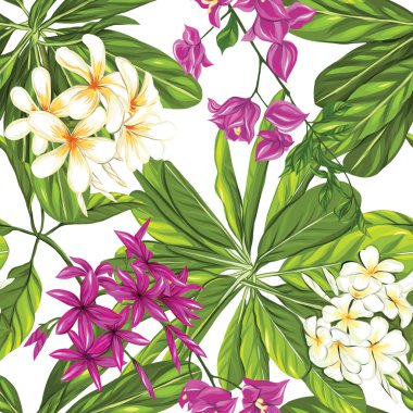 Dikişsiz desen, tropikal bitkiler ile arka plan: monstera, STERLİÇYA, begonvil, 