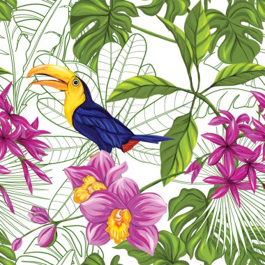 Vektör seamless modeli, arka plan toucan ve tropik bitkiler ile 