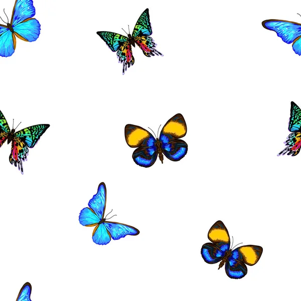 Patrón sin costura vectorial, fondo dibujado a mano con mariposas — Archivo Imágenes Vectoriales