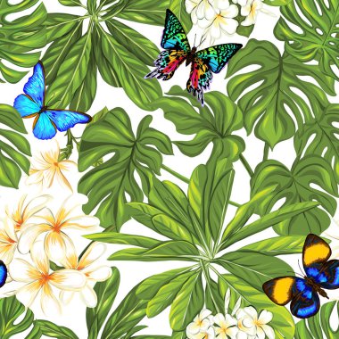 Vektör seamless modeli, kelebekler ile çizilmiş arka plan