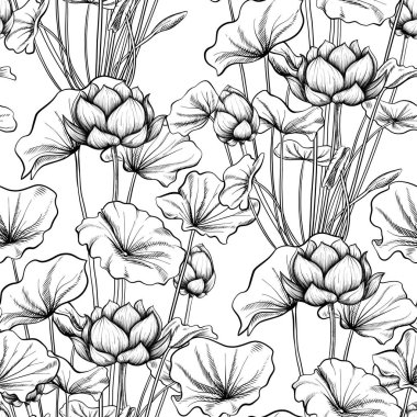 Dikişsiz desen, lotus çiçeği ile arka plan. Botanik illust