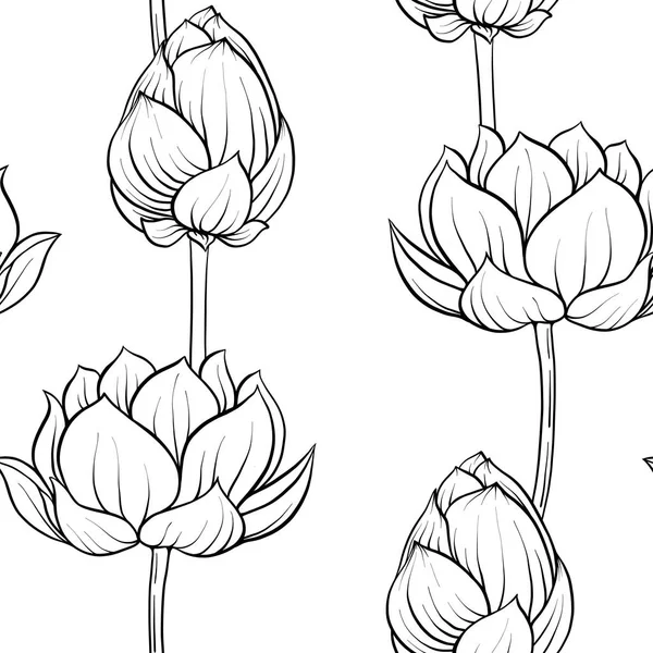 Naadloze patroon, achtergrond met lotusbloem. Botanische illust — Stockvector