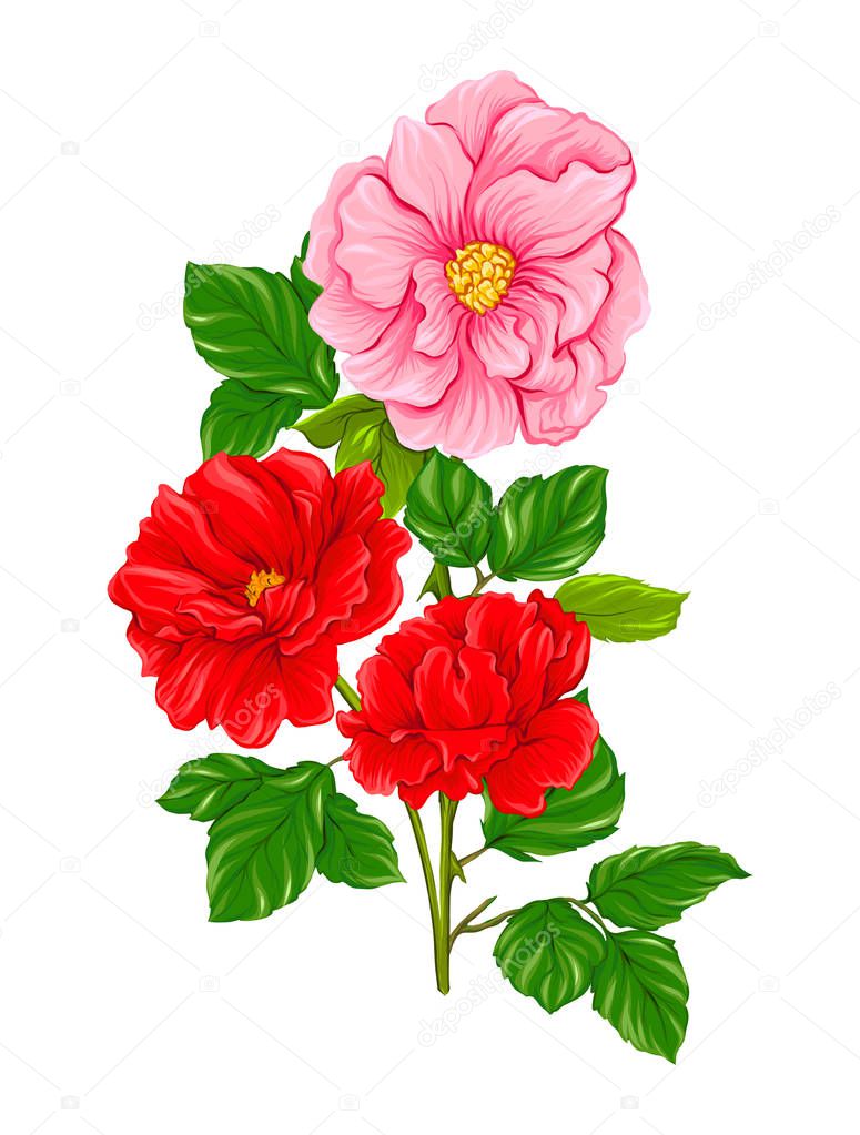 Bouquet of spring flowers. Colorful realistic vector illustration