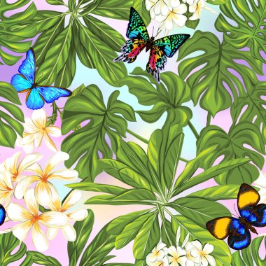 Vektör Dikişsiz desen, renkli arka plan ile kelebekler