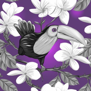 Dikişsiz desen, arka plan beyaz plumeria ve toukan ile