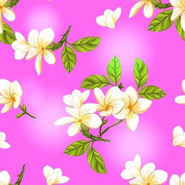 Dikişsiz desen, çizilmiş arka plan beyaz plumeria ile