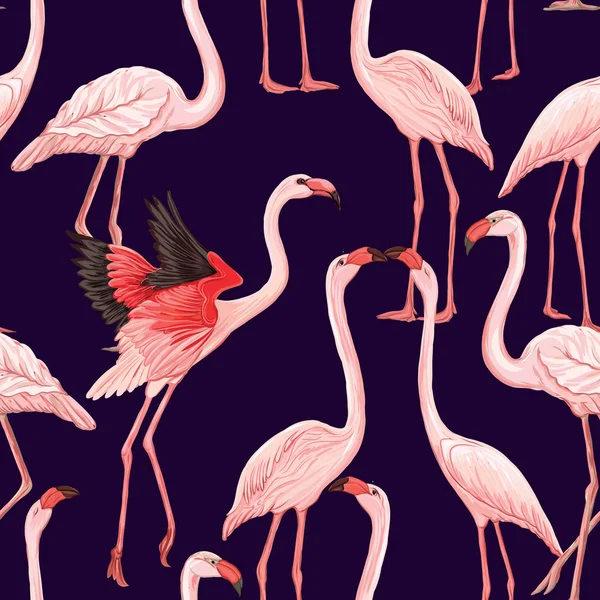 Векторный безморщинистый рисунок, фон с фламинго и растениями фасоли — стоковый вектор