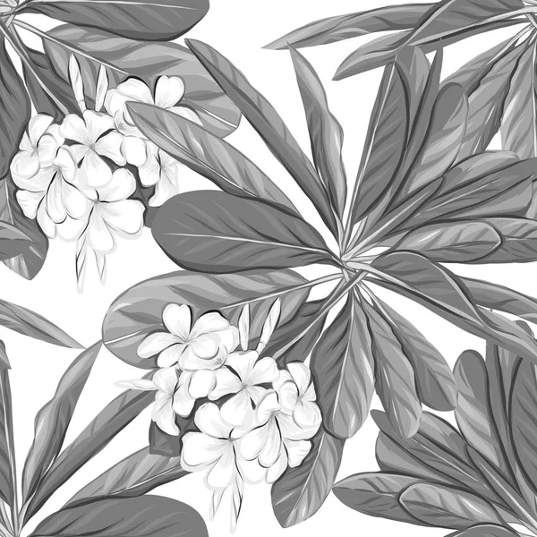 Векторный бесшовный рисунок, фон с туканом и тропическими растениями — стоковый вектор