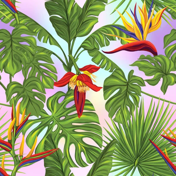 Modèle sans couture, fond avec des plantes tropicales : monstera, strelitzia, bougainvillea , — Image vectorielle