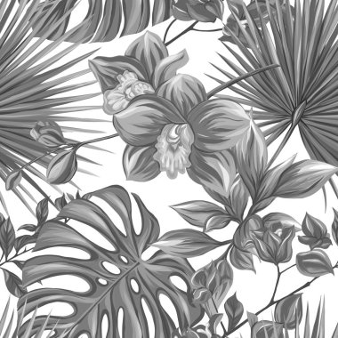 Vektör seamless modeli, tropikal bitkiler ile arka plan 