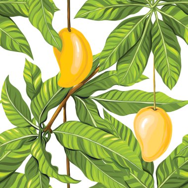 Vektör seamless modeli, tropikal bitkiler ile arka plan 