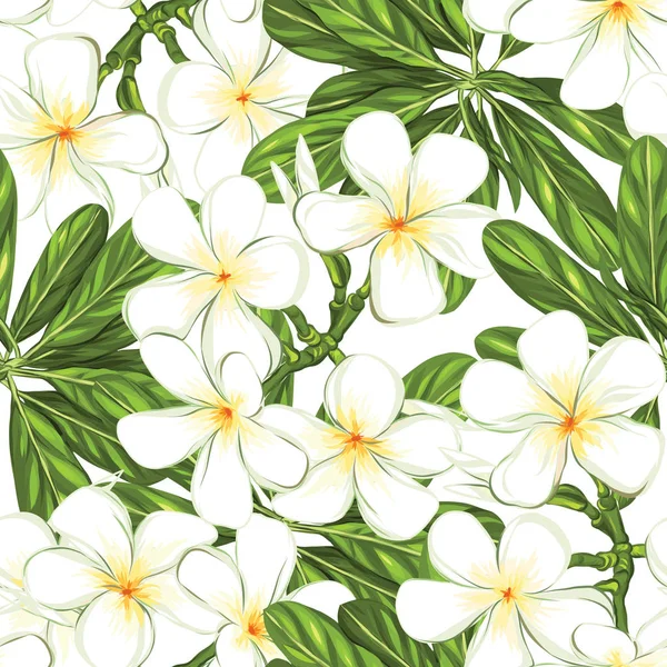 Dikişsiz desen, elle çizilmiş arka plan beyaz plumeria ile