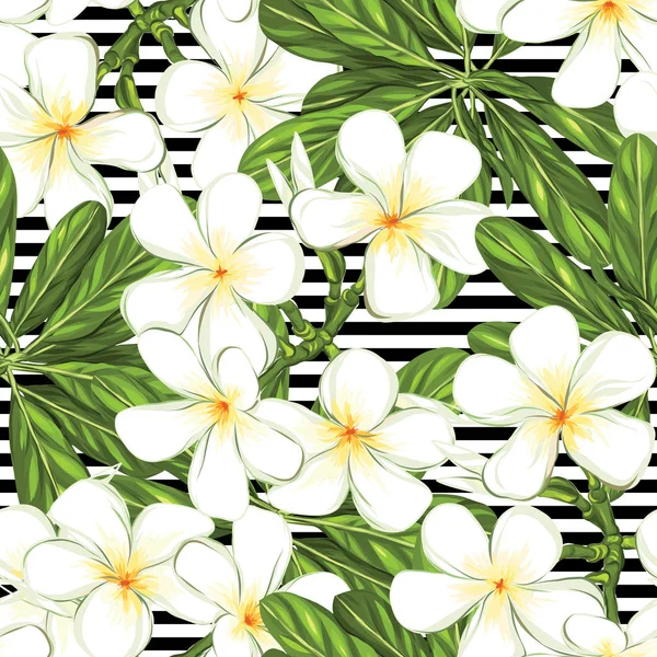 Dikişsiz desen, elle çizilmiş arka plan beyaz plumeria ile