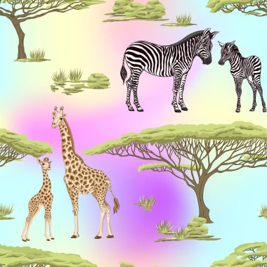 Dikişsiz desen, Yetişkin zebra, zürafa ve zebra ve zürafa arka plan yavrularını. Vektör çizim.  