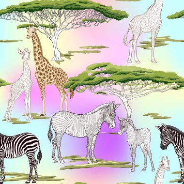 Dikişsiz desen, Yetişkin zebra, zürafa ve zebra ve zürafa arka plan yavrularını. Vektör çizim.  