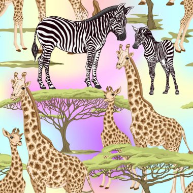 Dikişsiz desen, Yetişkin zebra, zürafa ve zebra ve zürafa arka plan yavrularını. Vektör çizim.  