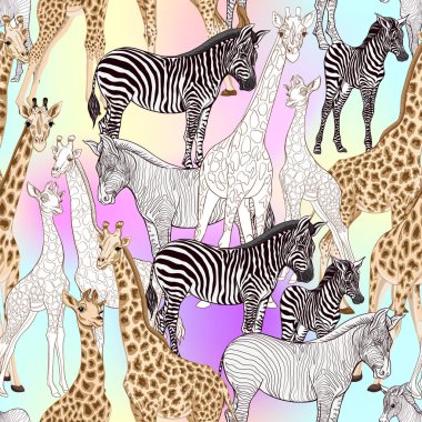 Dikişsiz desen, Yetişkin zebra, zürafa ve zebra ve zürafa arka plan yavrularını. Vektör çizim.  