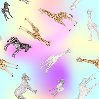 Dikişsiz desen, Yetişkin zebra, zürafa ve zebra ve zürafa arka plan yavrularını. Vektör çizim.  