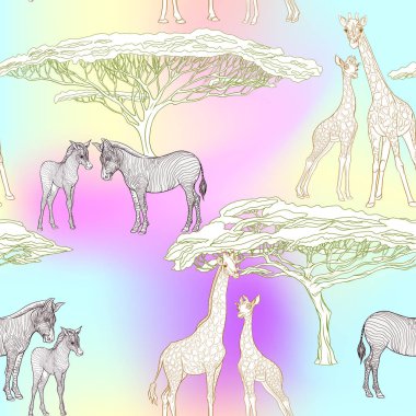 Dikişsiz desen, Yetişkin zebra, zürafa ve zebra ve zürafa arka plan yavrularını. Vektör çizim.  