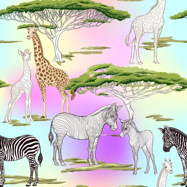 Dikişsiz desen, Yetişkin zebra, zürafa ve zebra ve zürafa arka plan yavrularını. Vektör çizim.  