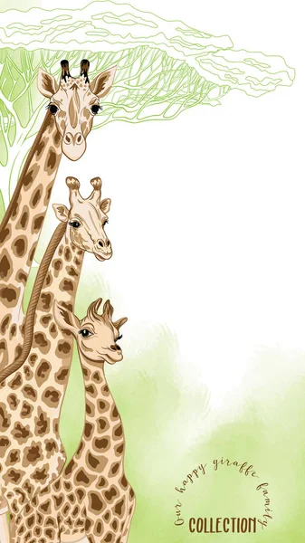 Тло з родиною жирафів. Векторна ілюстрація . — стоковий вектор