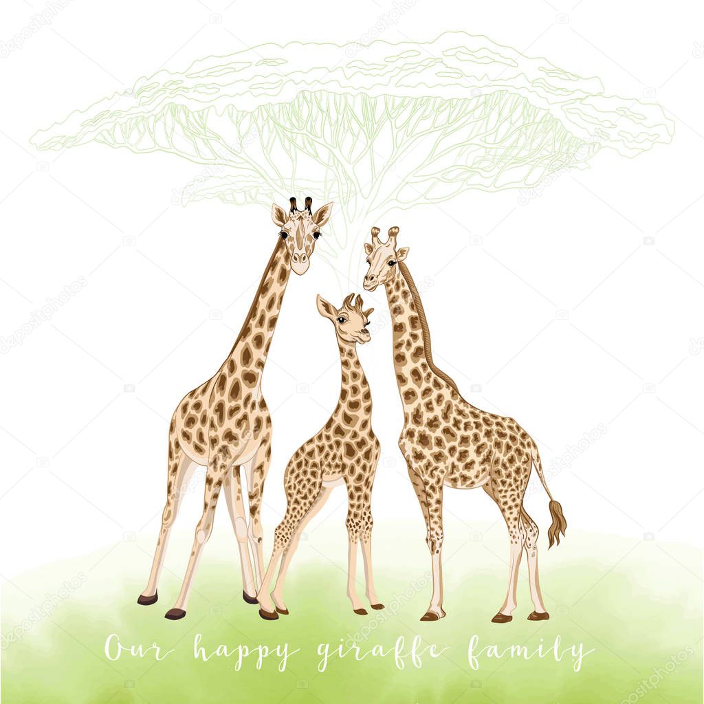 Background with giraffe family. Vector Illustration.