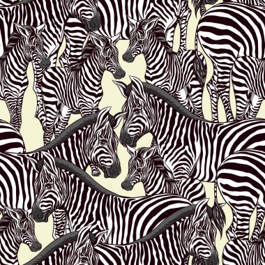 Dikişsiz desen, Yetişkin zebra ve zebra yavrusu arka plan. Gerçekçi çizim, hayvan. Vektör çizim. Yeşil arka plan üzerinde.