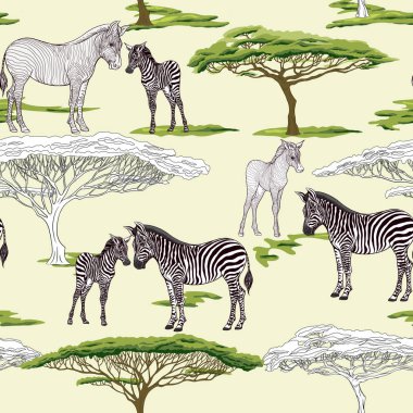 Dikişsiz desen, Yetişkin zebra ve zebra yavrusu arka plan. Vektör çizim.  