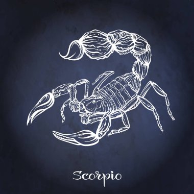Zodyak işareti. Astrolojik burç koleksiyonu. Vektör çizim