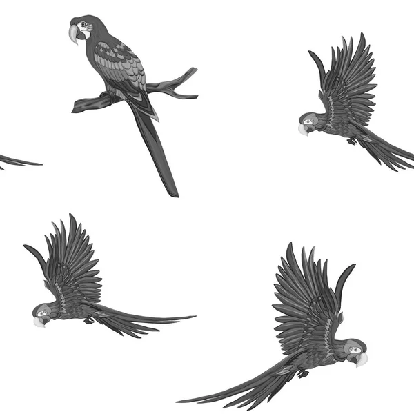 Naadloze patroon, achtergrond met vogels. Vectorillustratie — Stockvector