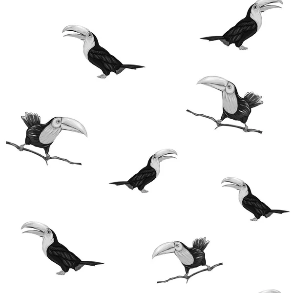Nahtloses Muster, Hintergrund mit Vögeln. Vektorillustration — Stockvektor