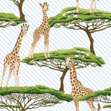 Zürafa ile Seamless modeli. Vektör çizim.