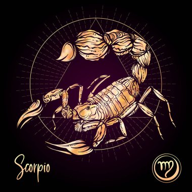 Zodyak işareti. Astrolojik burç koleksiyonu. Vektör çizim