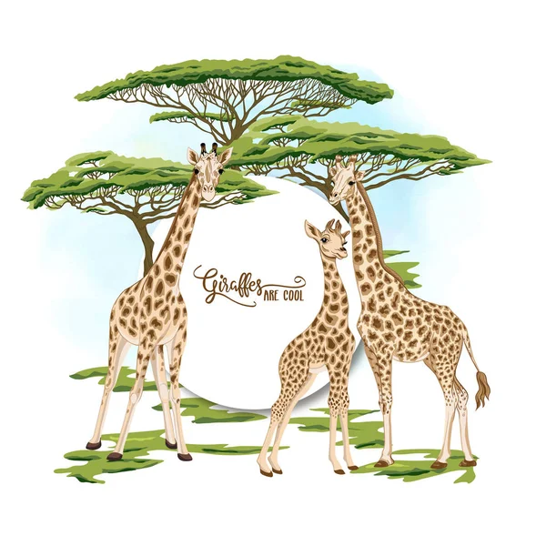Сведения о семье жирафов. Векторная миграция . — стоковый вектор
