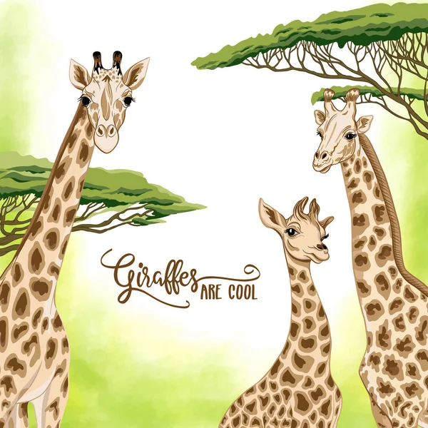 Bakgrund med giraff familj. Vektorillustration. — Stock vektor