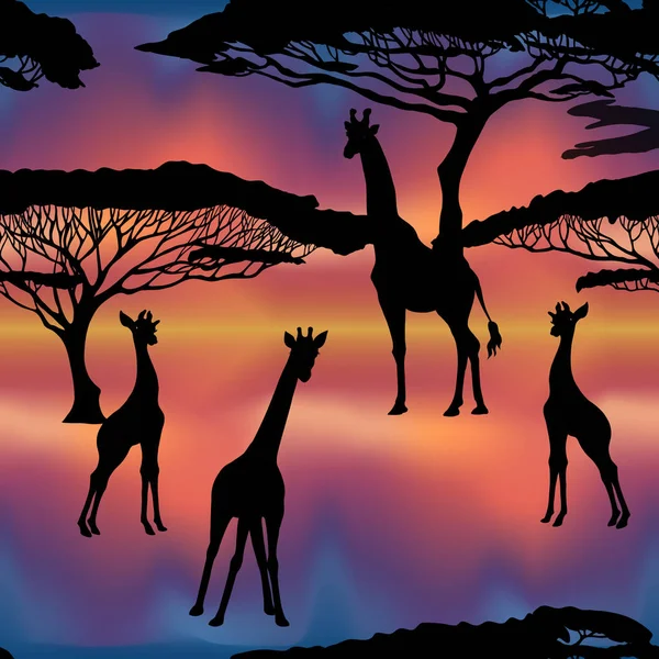 Dikişsiz desen, Afrika hayvanları siluetleri ile arka plan 