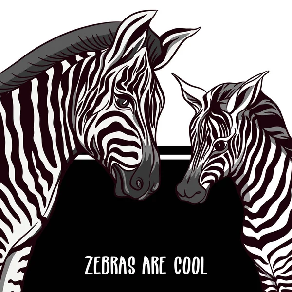 Achtergrond met Zebra's vectorillustratie. — Stockvector