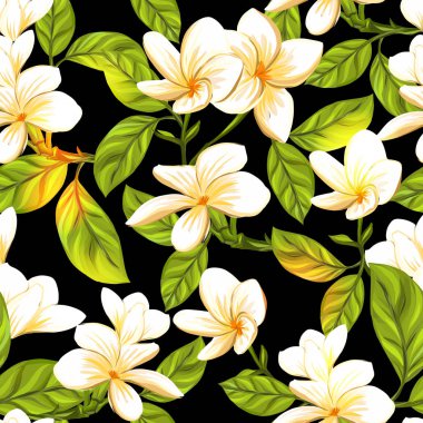 Dikişsiz desen, arka plan beyaz plumeria ile