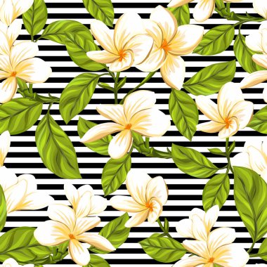 Dikişsiz desen, arka plan beyaz plumeria ile