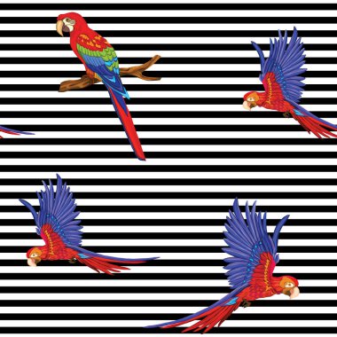 Dikişsiz desen, kuşlar ile arka plan. Vektör çizim