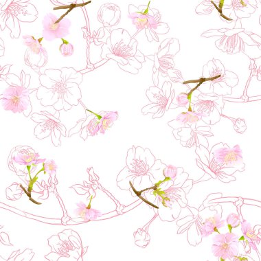 Dikişsiz desen, çiçeklenme ile arka plan kiraz Japon sakura