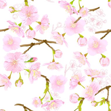 Dikişsiz desen, çiçeklenme ile arka plan kiraz Japon sakura