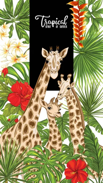 Antecedentes com girafa Vector Ilustração . — Vetor de Stock