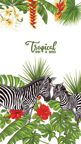 Hintergrund mit Zebras Vektor Illustration. — Stockvektor