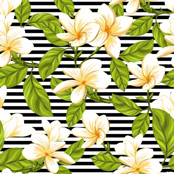 Dikişsiz desen, arka plan beyaz plumeria ile
