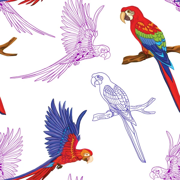 Dikişsiz desen, kuşlar ile arka plan. Vektör çizim