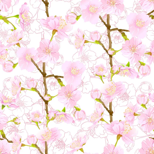 Motif sans couture, fond de cerisier fleuri japonais sakura — Image vectorielle