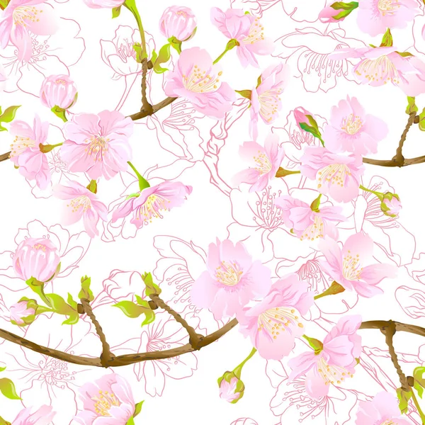 Nahtloses Muster, Hintergrund mit blühender japanischer Sakura aus Kirsche — Stockvektor