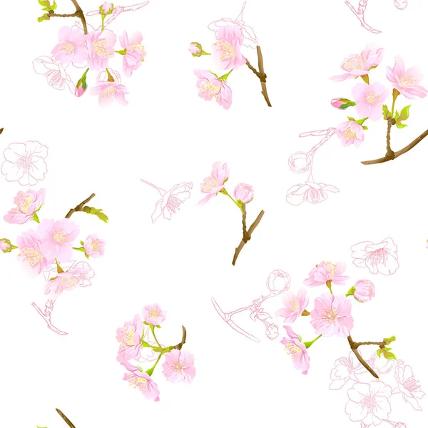 Бесшовный рисунок, фон с цветущей сакурой из вишни — стоковый вектор